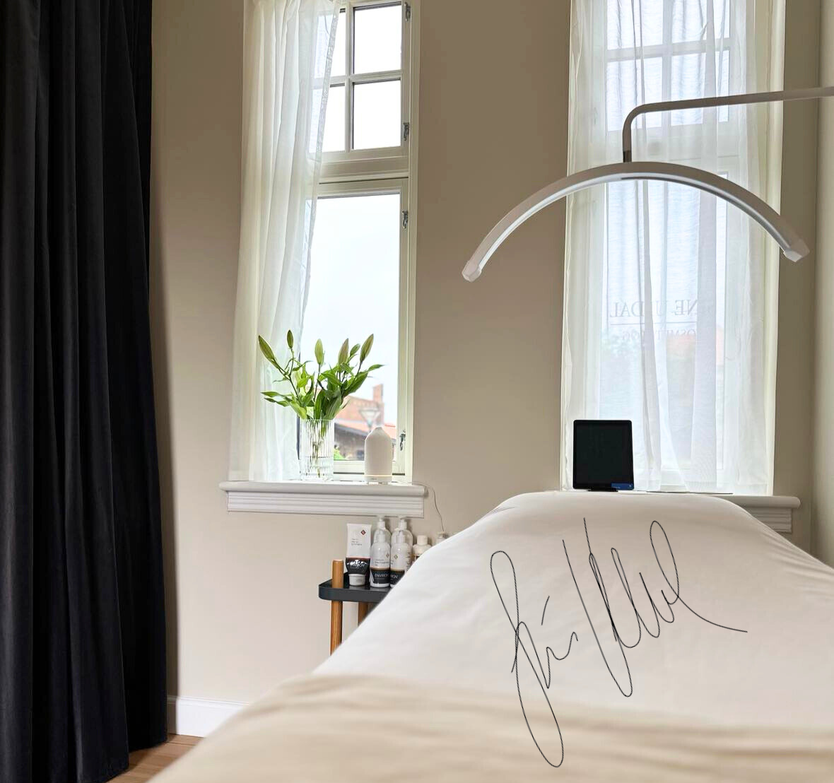 Professionel Hudpleje